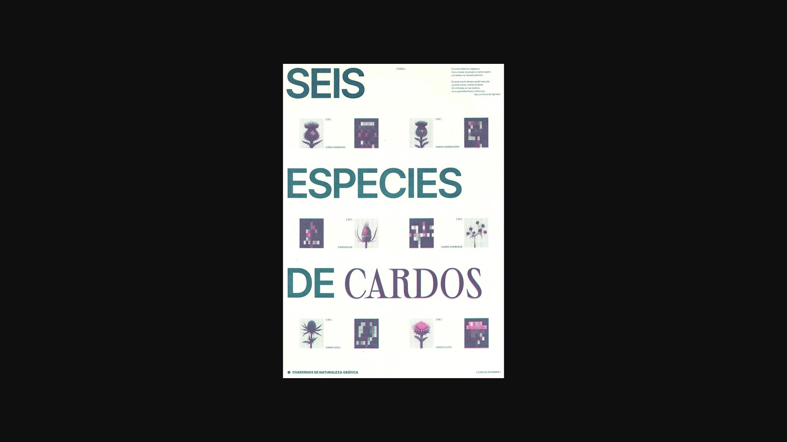 Seis especies de cardos