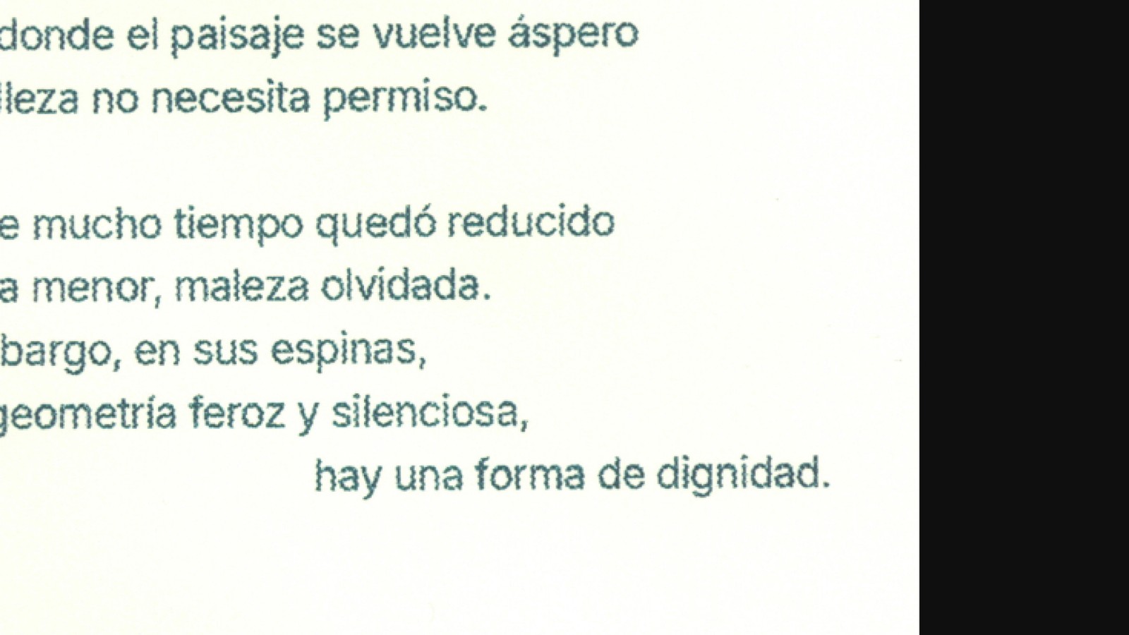 Seis especies de cardos