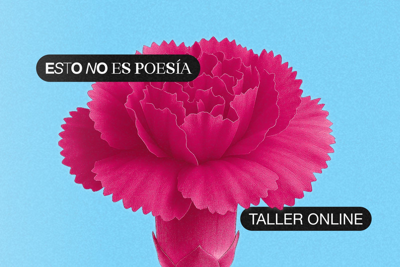 Esto No Es Poes&iacute;a
