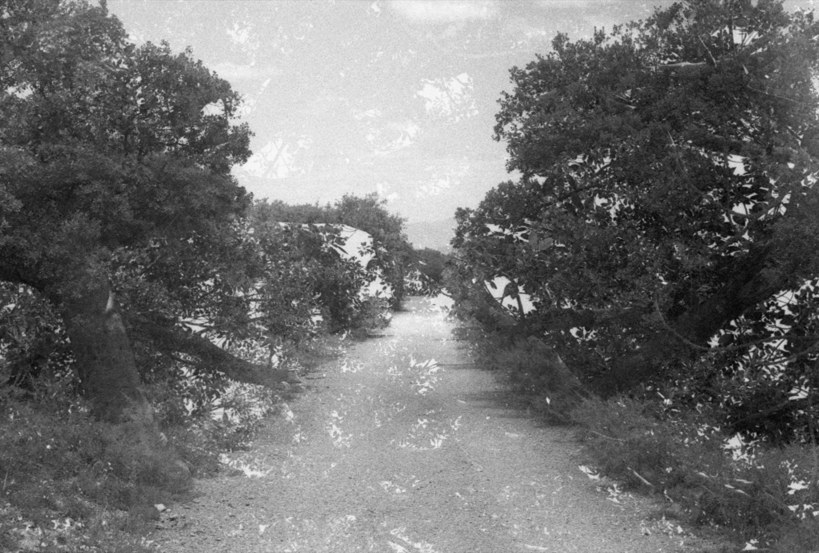 Valle y azotea